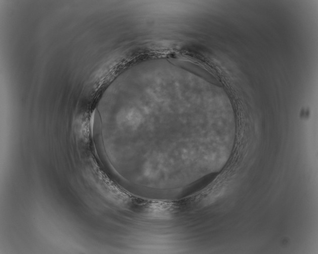 X0000115670720200912031356