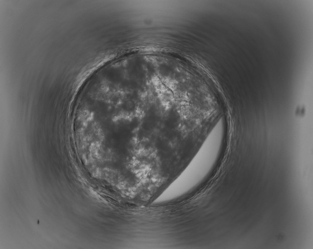 X0000115670721200912031355