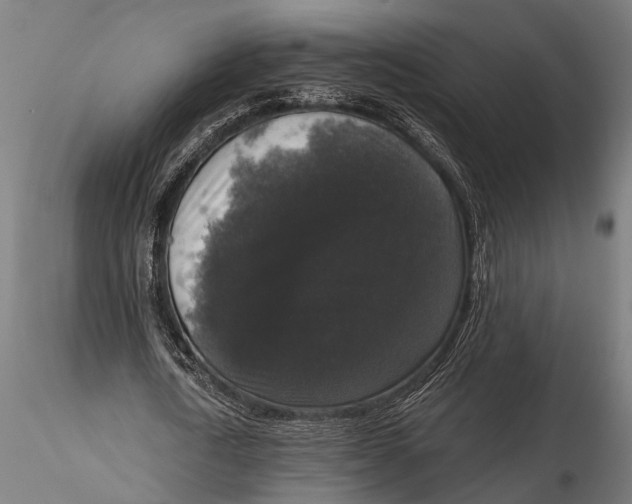 X0000115670722200912031355