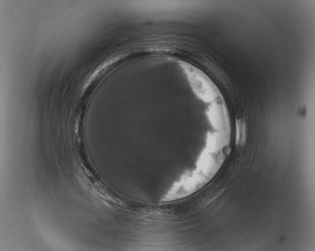 X0000115670723200912031355