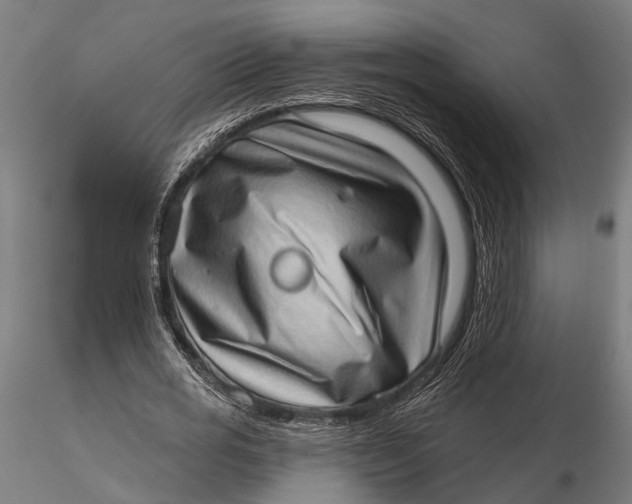 X0000115670725200912031355