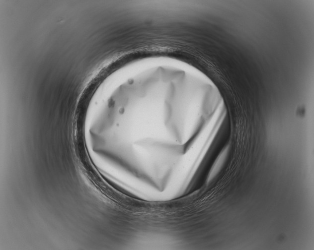 X0000115670726200912031355