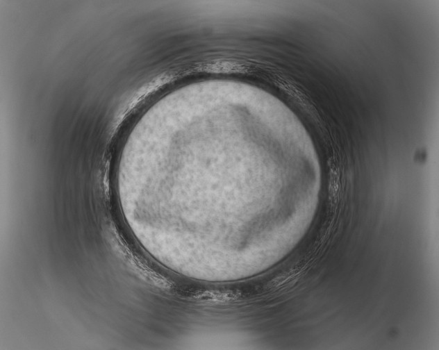 X0000115670727200912031355