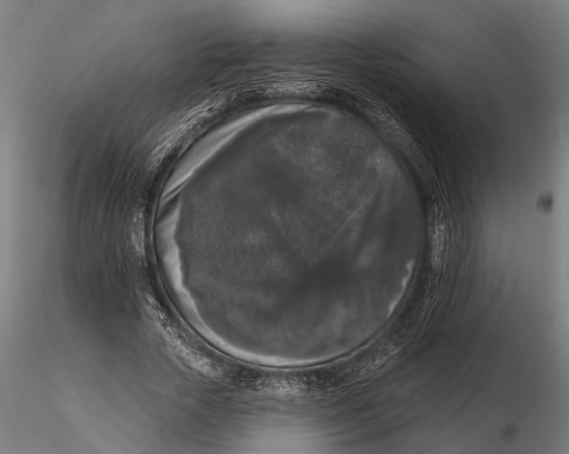 X0000115670729200912031355