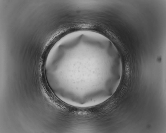 X0000115670730200912031355