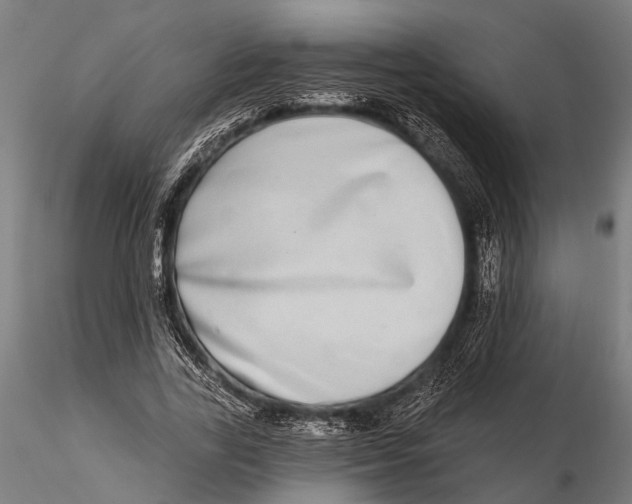 X0000115670731200912031355