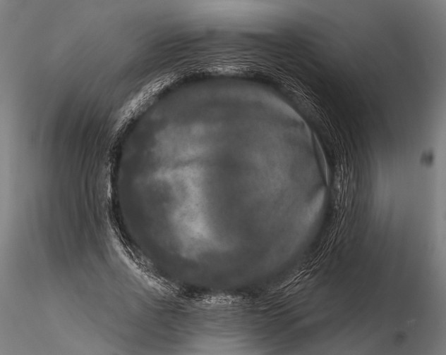 X0000115670734200912031355