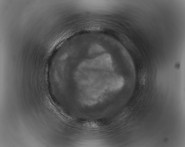 X0000115670735200912031355