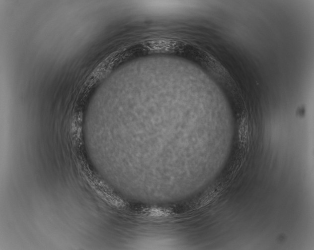 X0000115670737200912031355