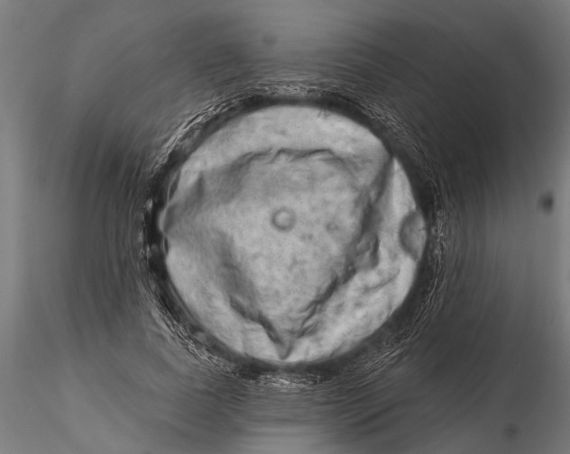 X0000115670739200912031356