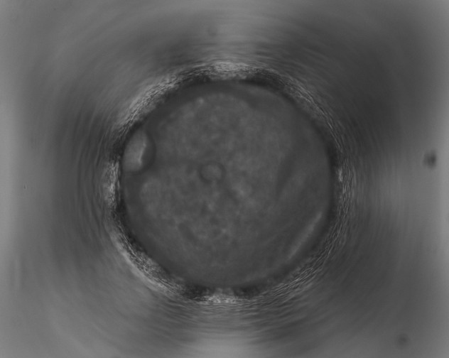 X0000115670742200912031356