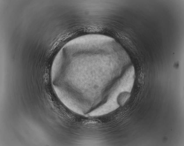 X0000115670743200912031356