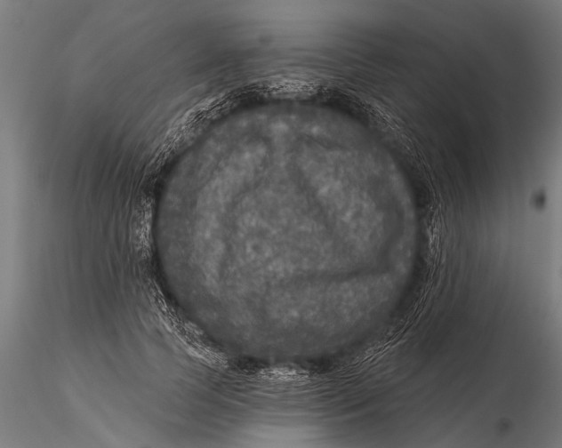 X0000115670745200912031356