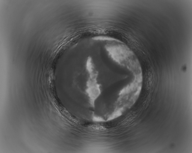 X0000115670747200912031356