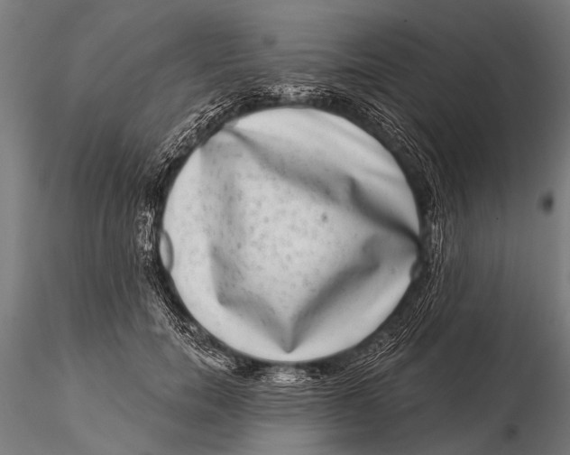 X0000115670750200912031356