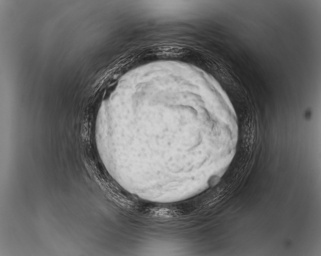 X0000115670755200912031356