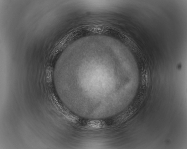 X0000115670757200912031356