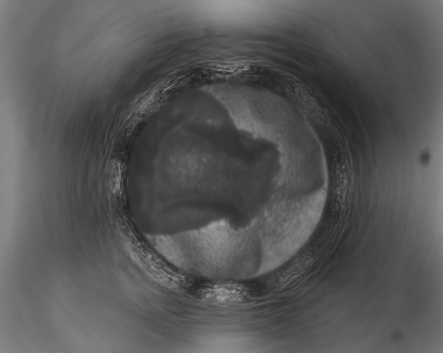 X0000115670758200912031356