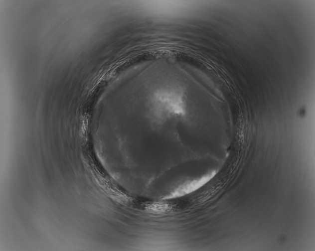 X0000115670759200912031356