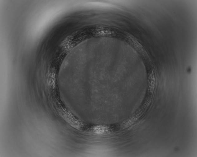 X0000115670762200912031356