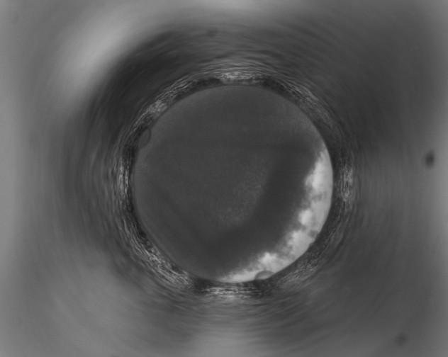 X0000115670763200912031356