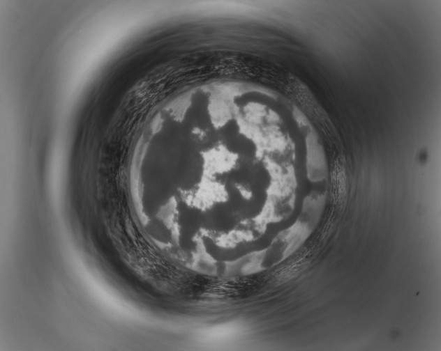 X0000115670765200912031356