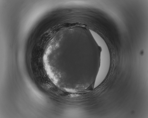 X0000115670766200912031356