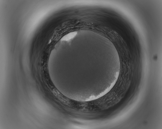 X0000115670767200912031356