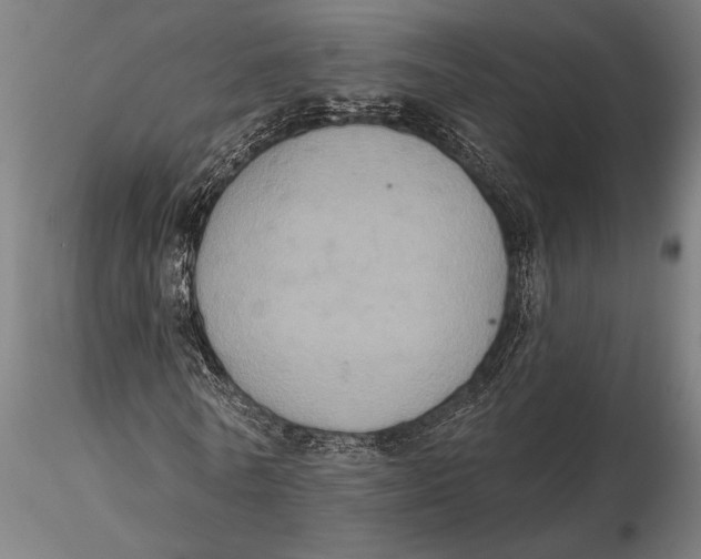 X0000115670770200912031355