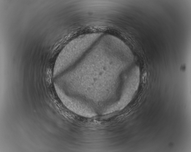 X0000115670772200912031355