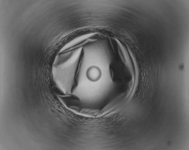 X0000115670773200912031355