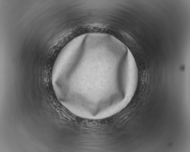 X0000115670774200912031355