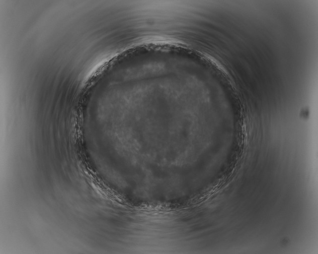 X0000115670775200912031355