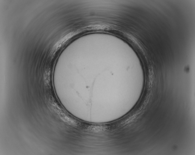 X0000115670778200912031355