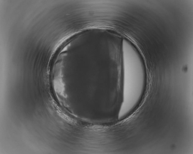 X0000115670779200912031355