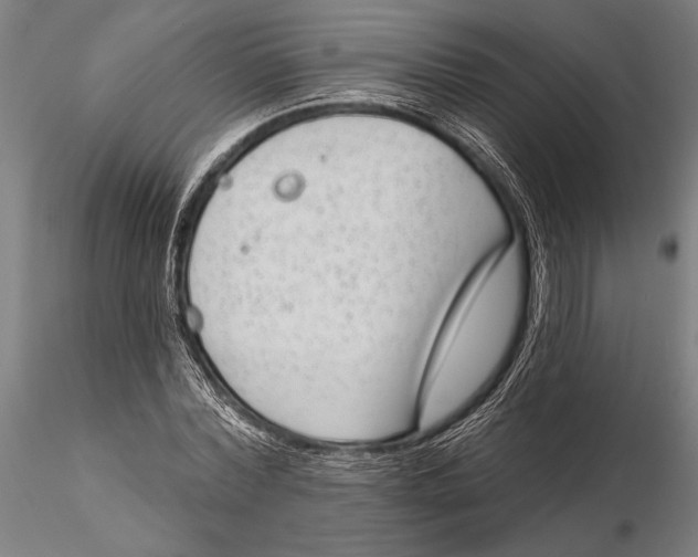 X0000115670780200912031355