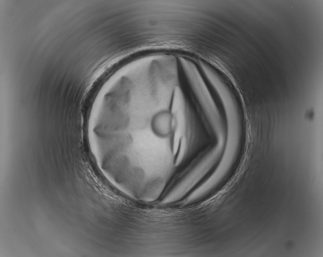 X0000115670781200912031355