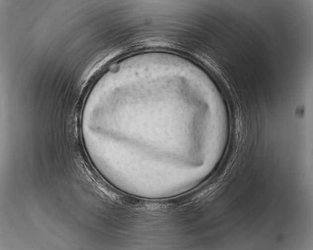 X0000115670782200912031355