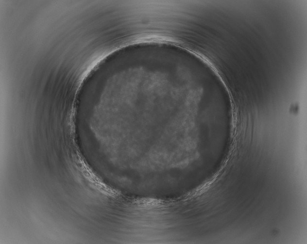 X0000115670783200912031355