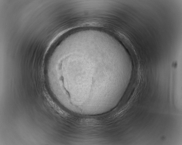 X0000115670784200912031355