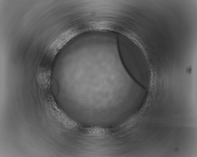 X0000115670785200912031355