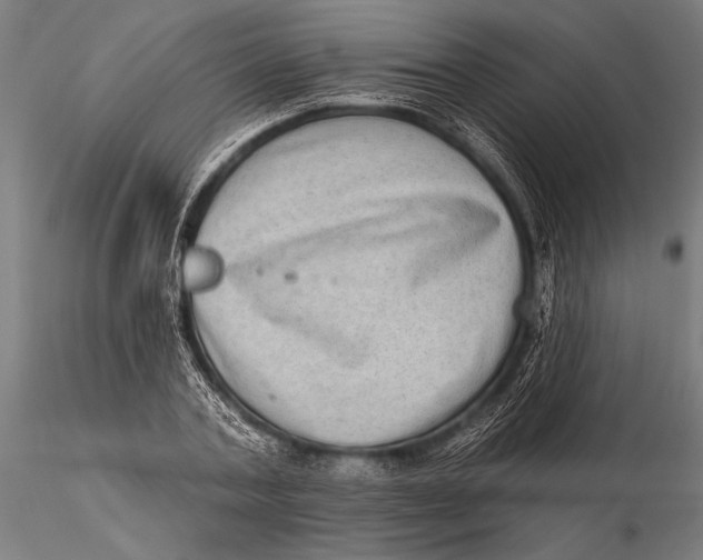 X0000115670787200912031355