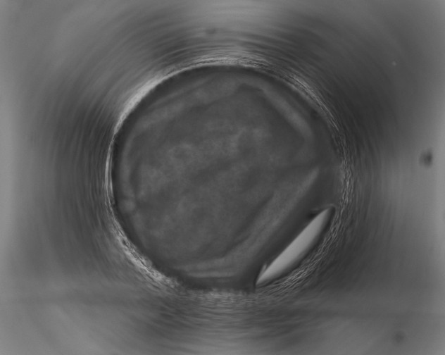 X0000115670788200912031355