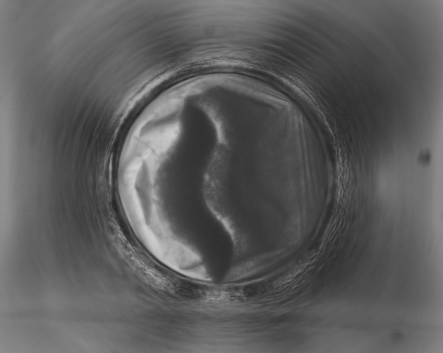 X0000115670790200912031355