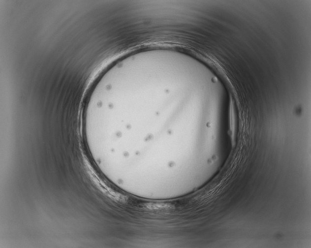 X0000115670795200912031355