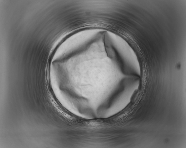 X0000115670796200912031355