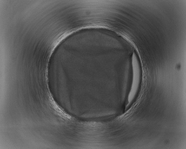 X0000115670797200912031355