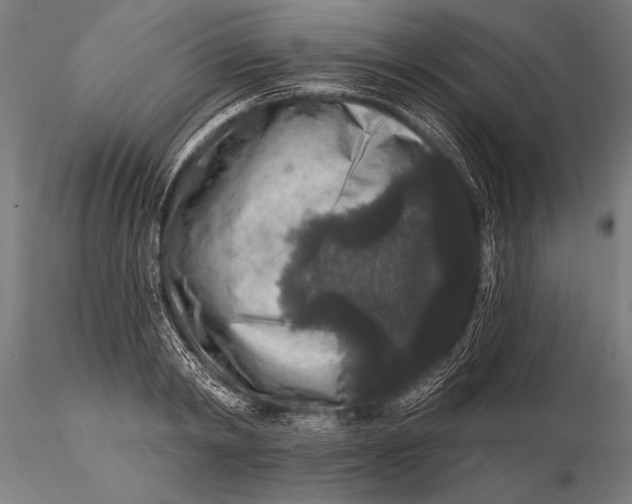 X0000115670798200912031355