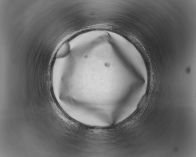 X0000115670800200912031355