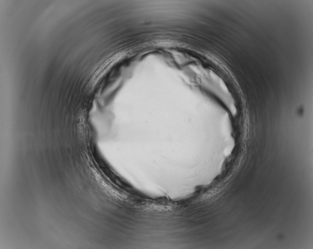 X0000115670801200912031355